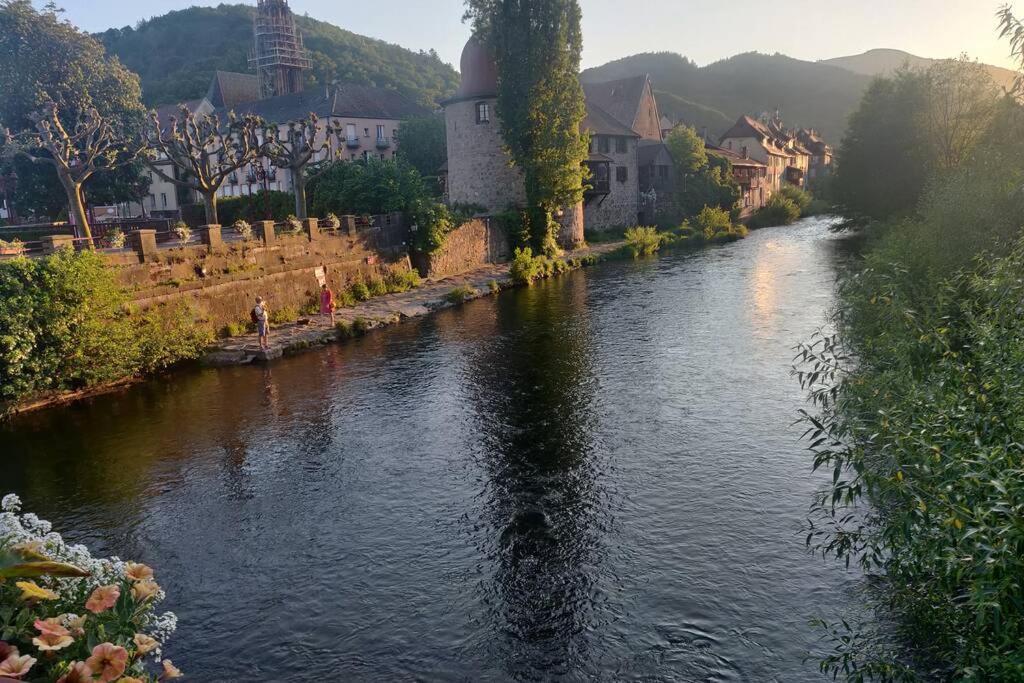 Clos Saint Jacques Thann Buitenkant foto